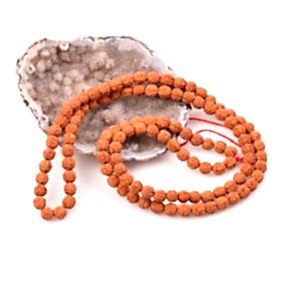 Rudraksha