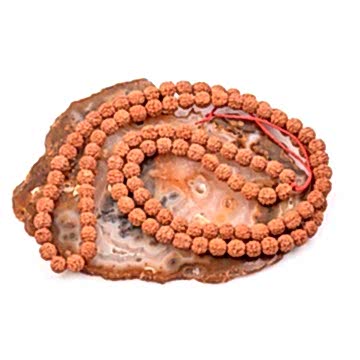 Rudraksha Tohum Dizi - 8 mm